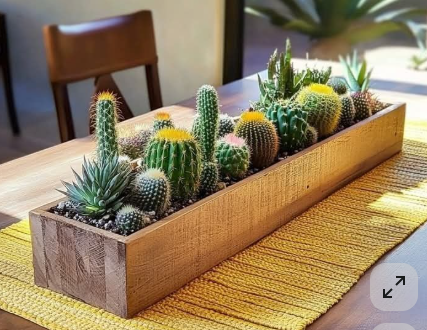 Kit de Siembra - Hecho Aquí Curicó